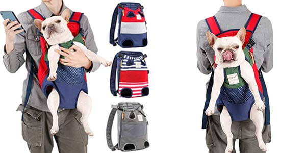 Best Backpack To Carry French Bulldog 2024[Comfortable]