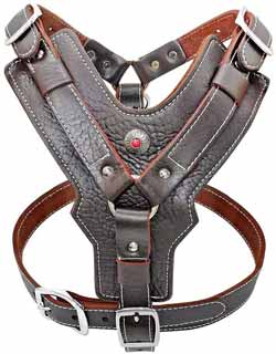 Pet artist leather harness