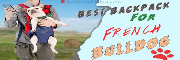 Read more about the article Best Backpack To Carry French Bulldog 2023[Comfortable]