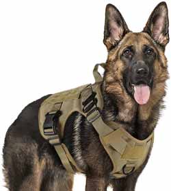 rabitgoo tactical harness for german shepherd