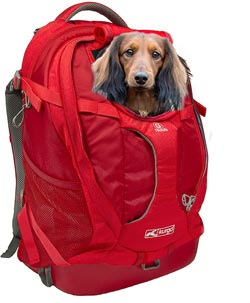 dog backpack for dachshund