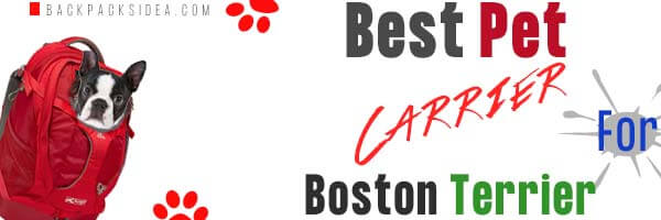 You are currently viewing Best Pet Carrier For Boston Terrier 2023 [Safe & Comfortable]