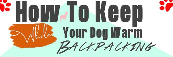 You are currently viewing How To Keep Your Dog Warm While Backpacking [10 Proven Tips]