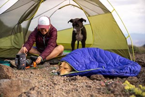 How To Keep Your Dog Warm While Backpacking [10 Proven Tips]
