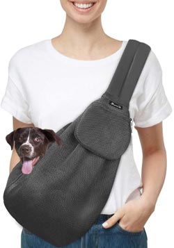 best hiking backpack for dachshund