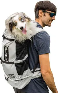 7 Best Yorkie Carry Bags in 2024[Secure & Comfortable]