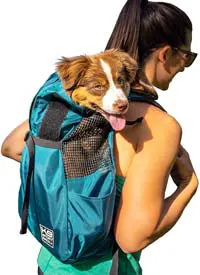 k9-sports-trainer dog backpack for shiba