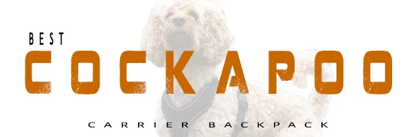 You are currently viewing Best Dog Carrier For Cockapoo In 2023 [Latest & Comfortable]