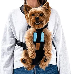 maltese carrier backpack for small dog