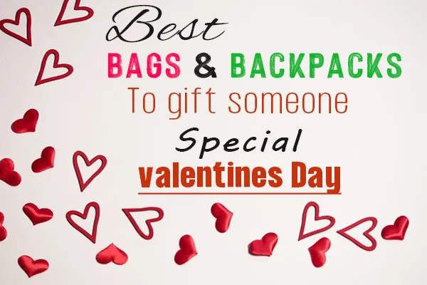 Read more about the article Best Bags To Gift Your Valentine 2022