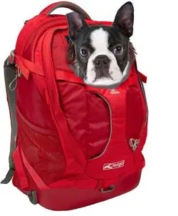 Kurgo dog carrier backpack for poodle