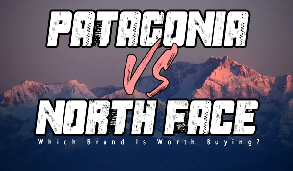 Read more about the article Patagonia vs North face: In-Depth Comparison