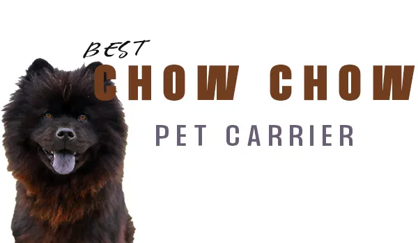 best dog carrier for chow chow