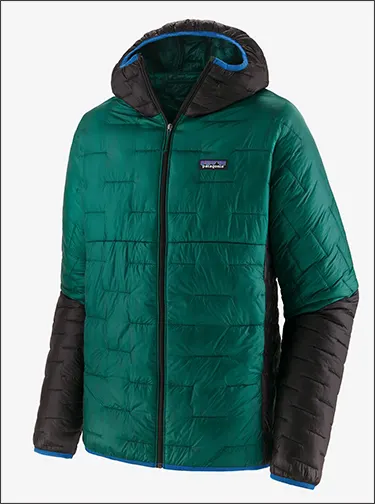 Patagonia micro puff jacket